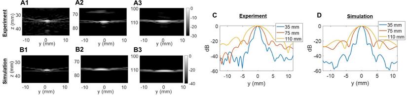 Theranostics Image