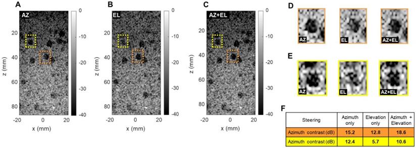 Theranostics Image