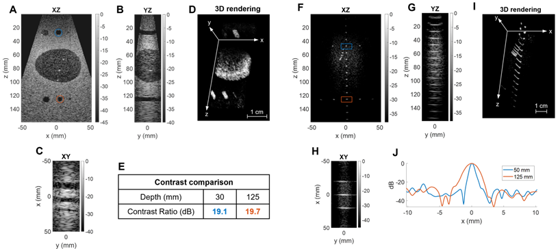 Theranostics Image