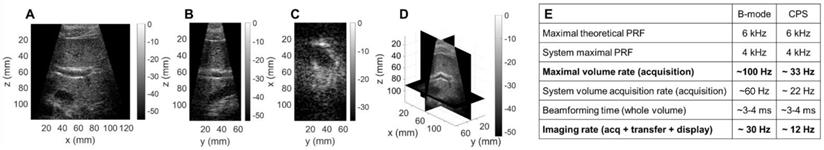 Theranostics Image