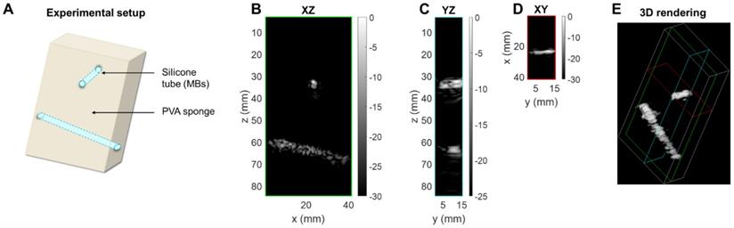 Theranostics Image