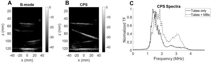 Theranostics Image