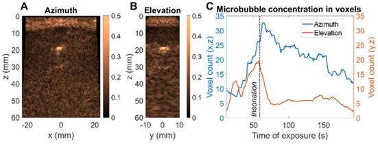 Theranostics Image