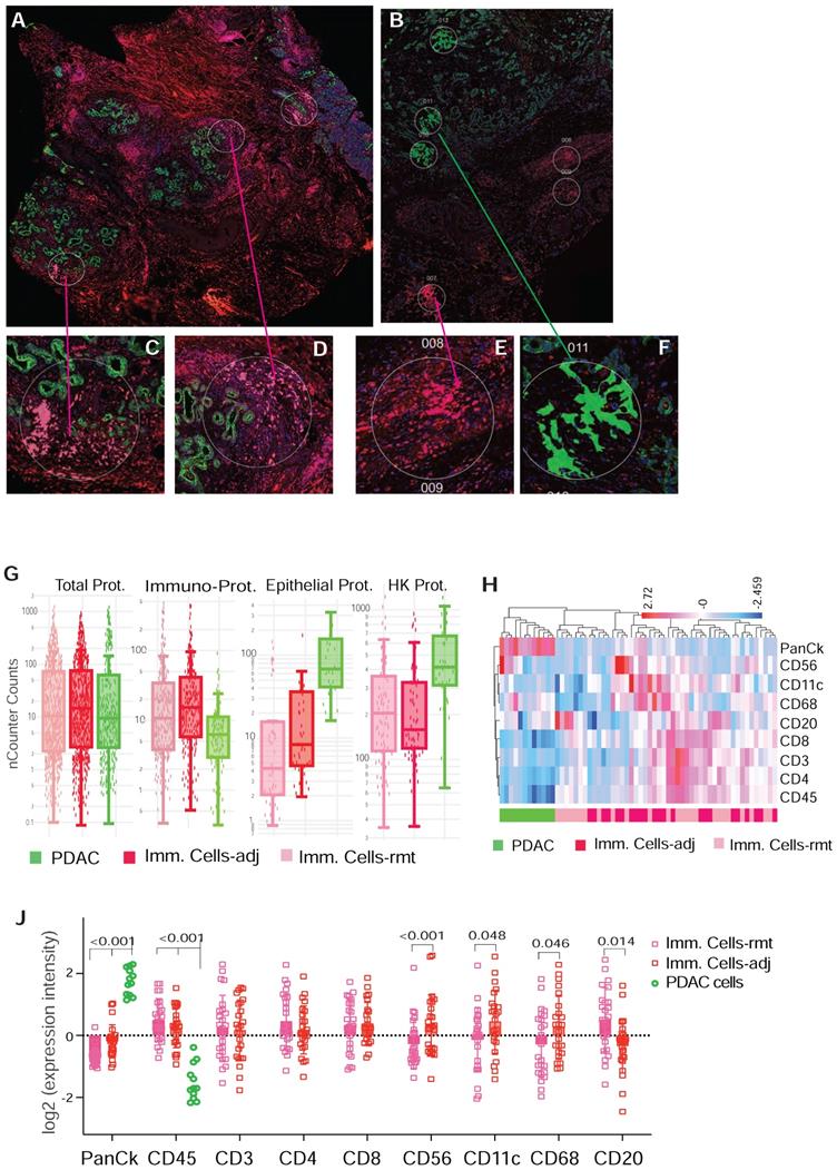 Theranostics Image