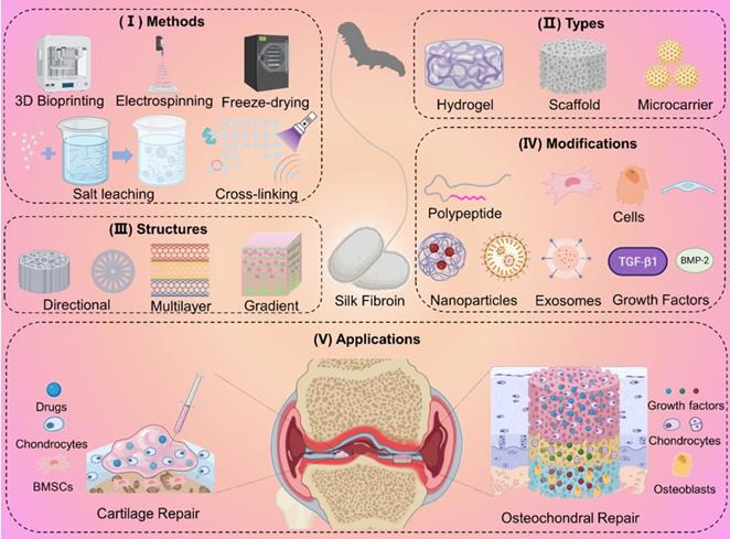 Theranostics Image