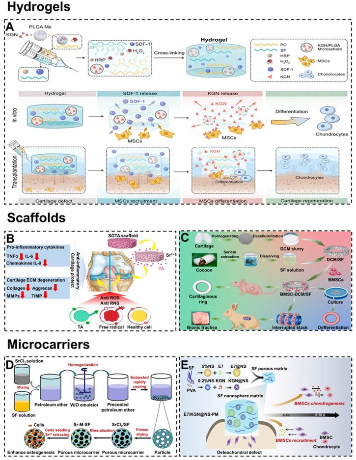 Theranostics Image