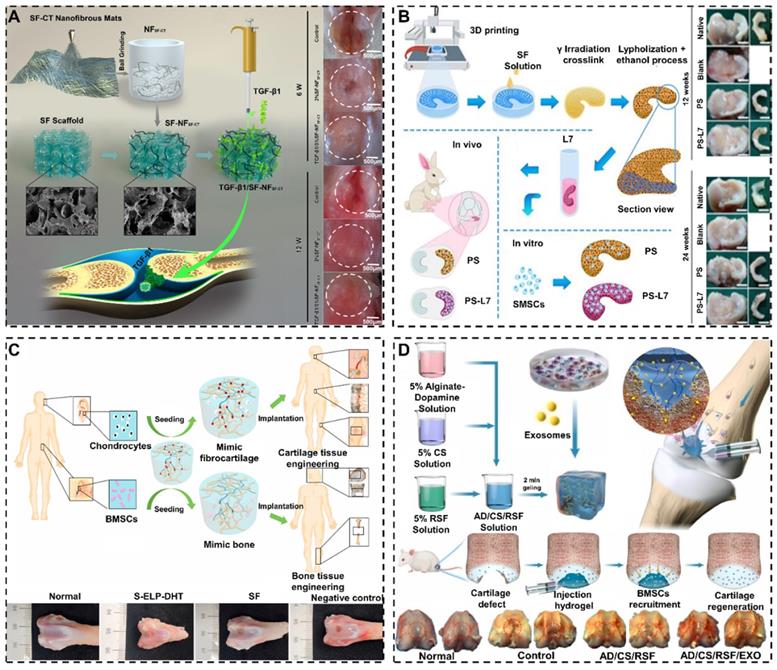 Theranostics Image