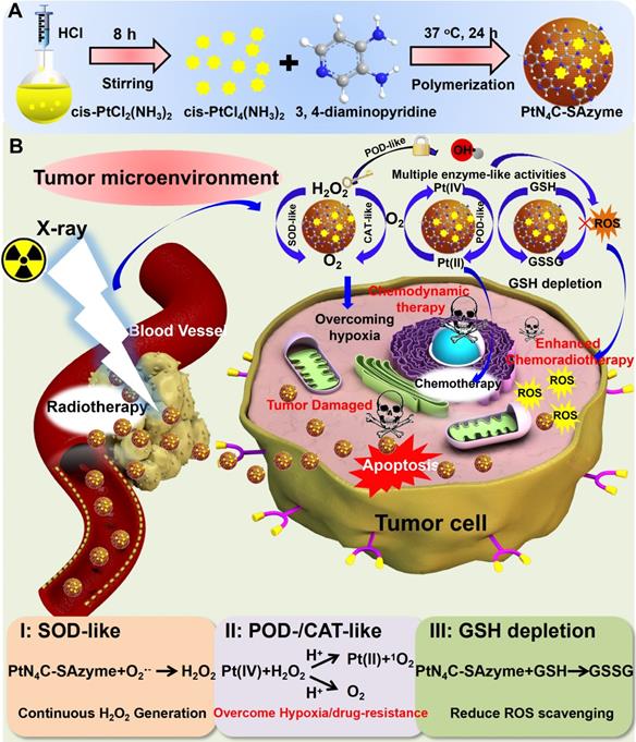 Theranostics Image