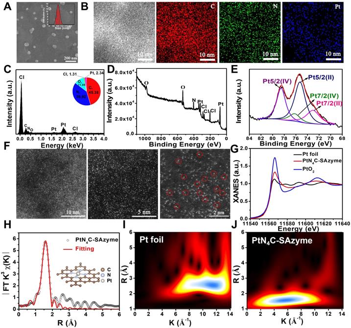 Theranostics Image