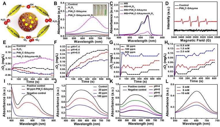 Theranostics Image