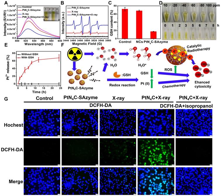 Theranostics Image