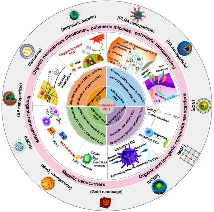 Theranostics Image