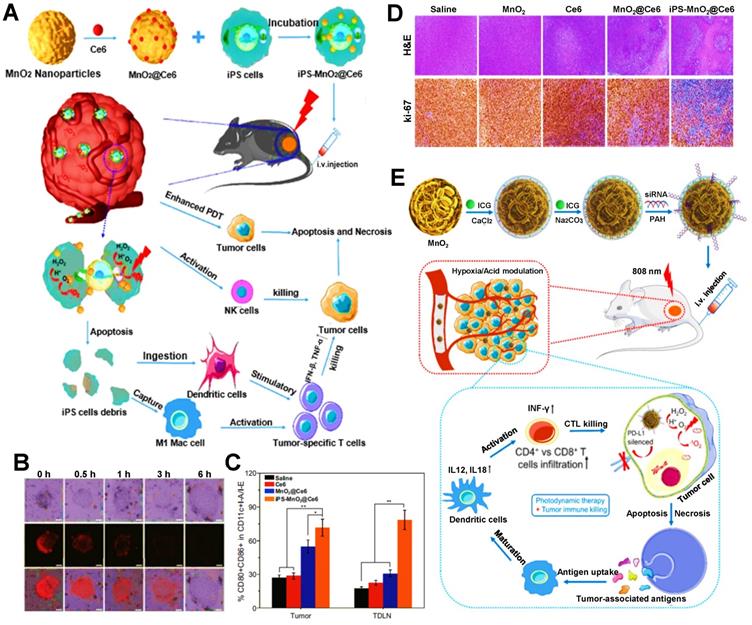 Theranostics Image