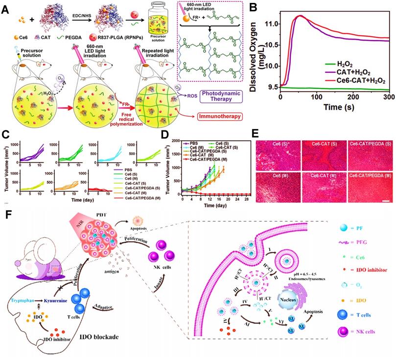 Theranostics Image