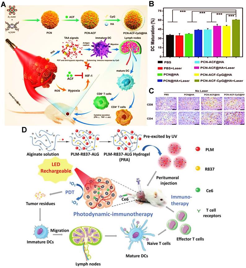 Theranostics Image