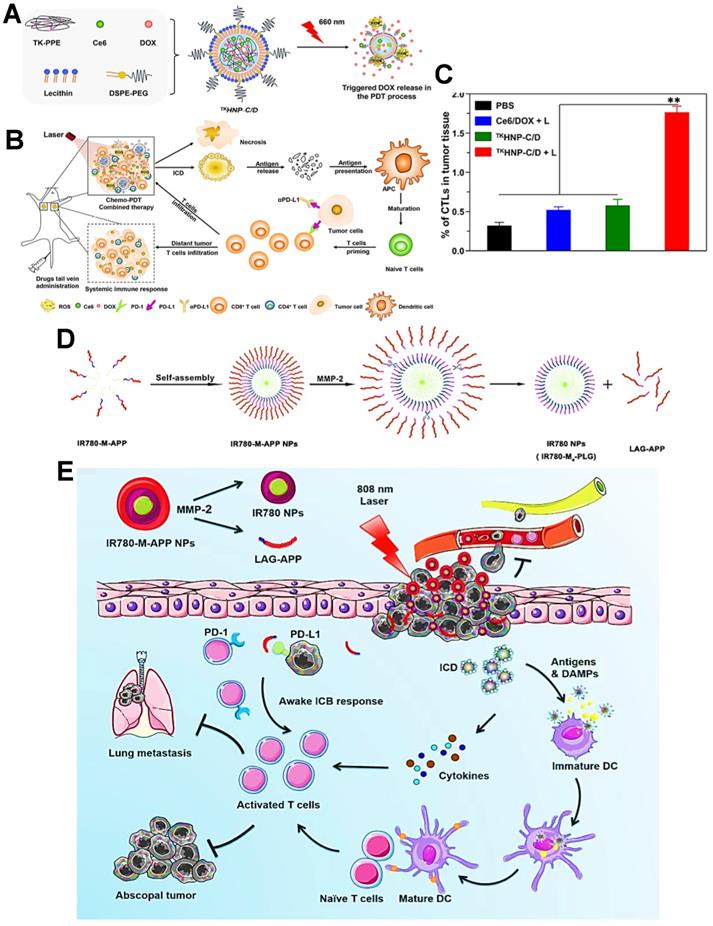 Theranostics Image