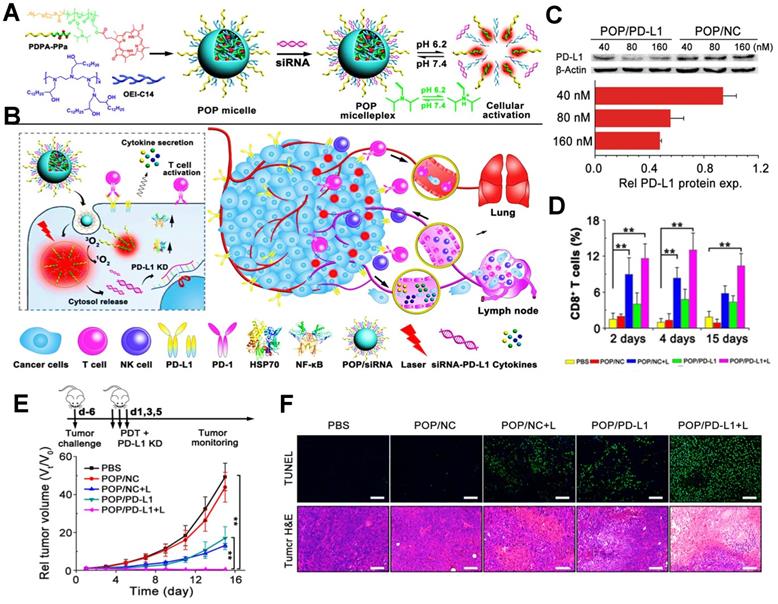 Theranostics Image