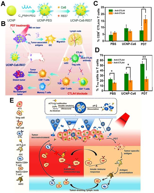 Theranostics Image