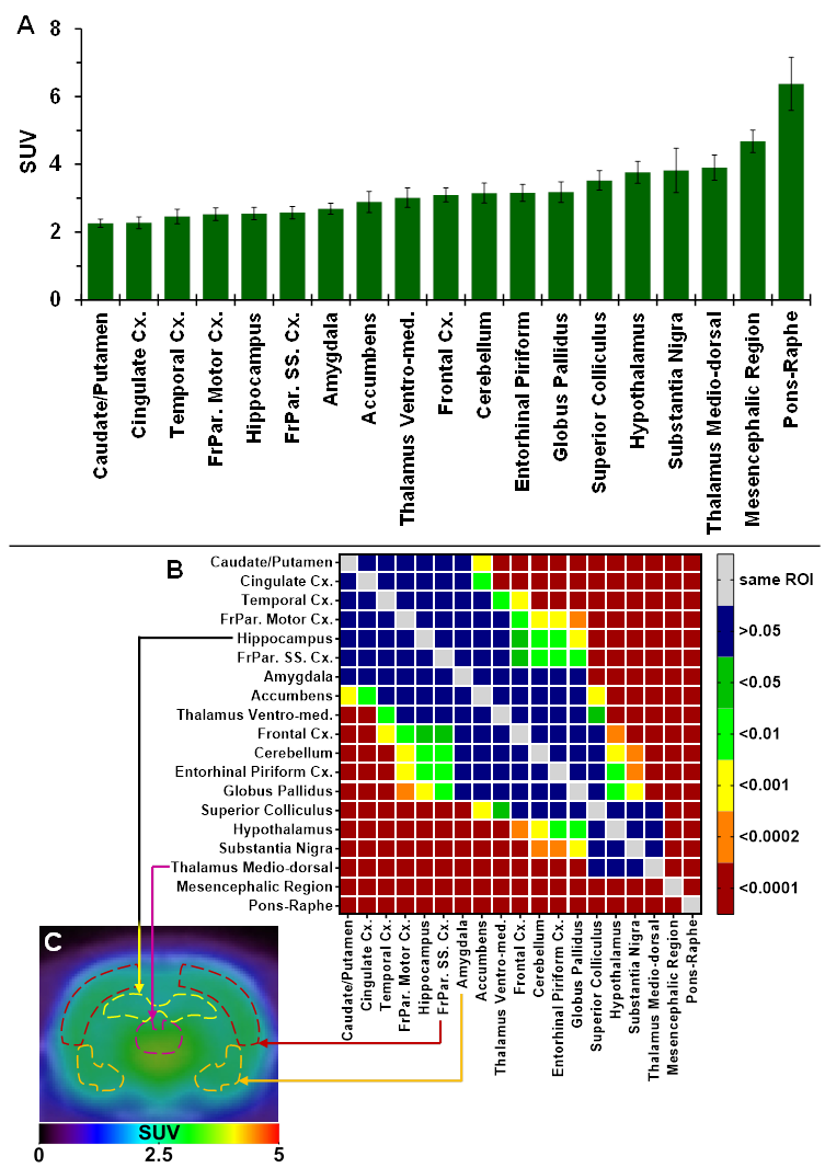 Theranostics Image