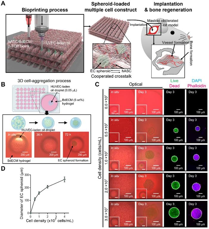 Theranostics Image