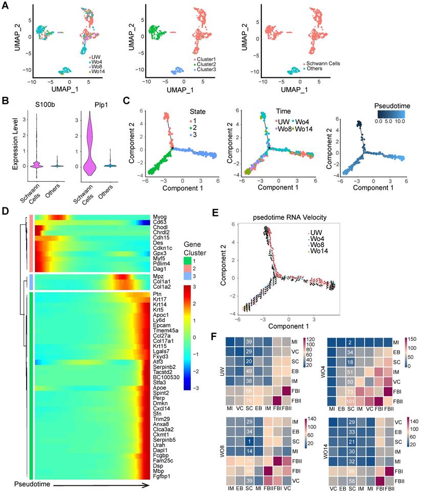 Theranostics Image