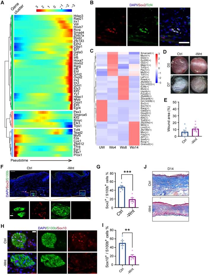 Theranostics Image