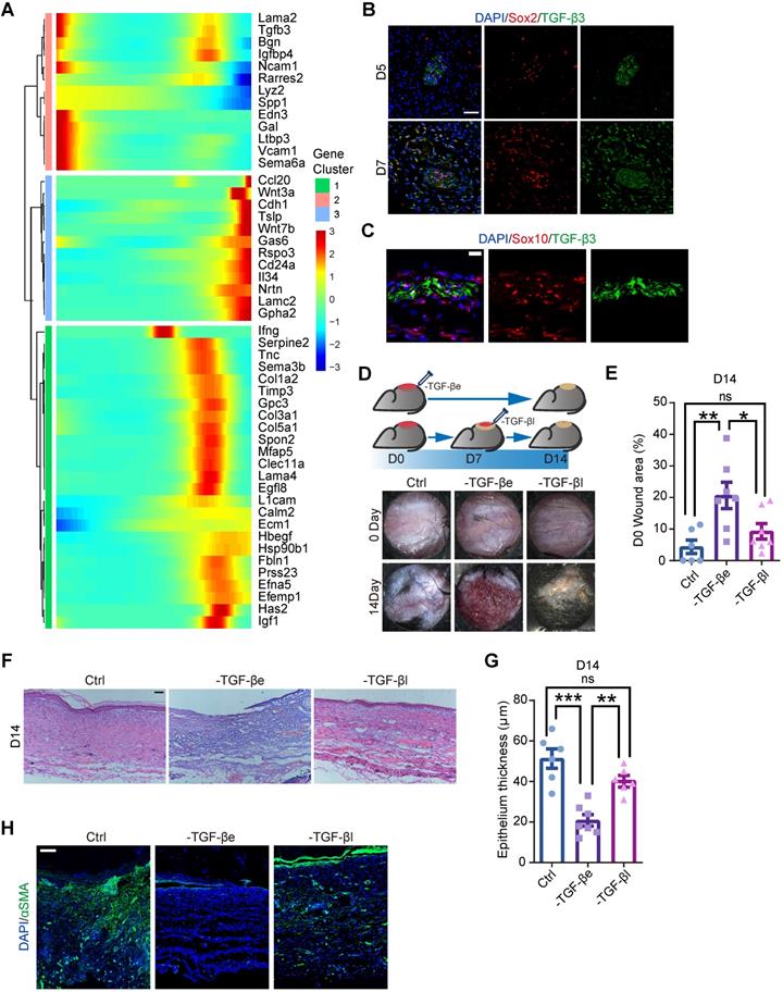 Theranostics Image