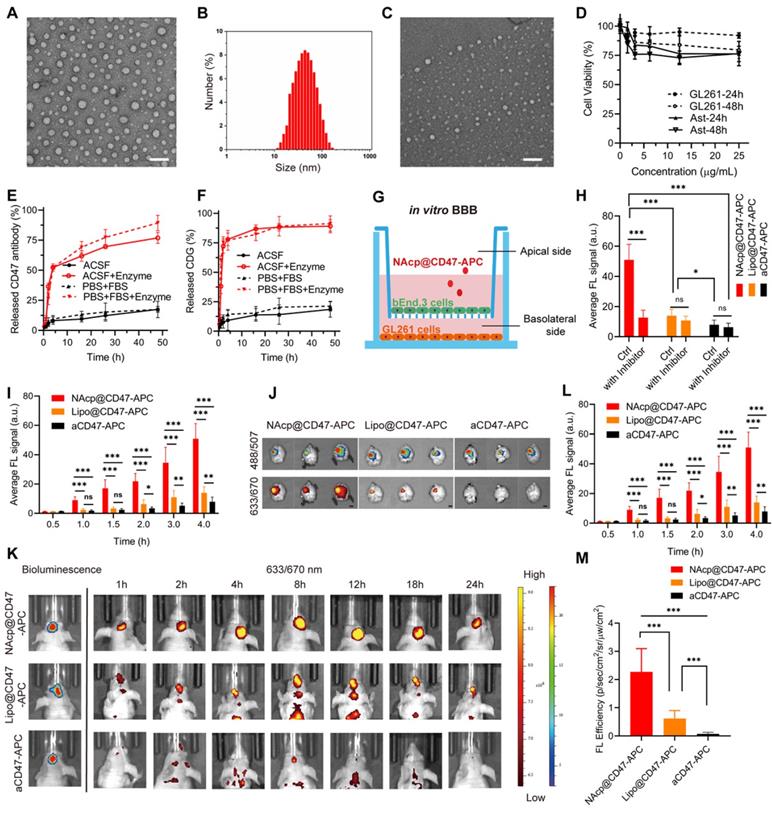 Theranostics Image