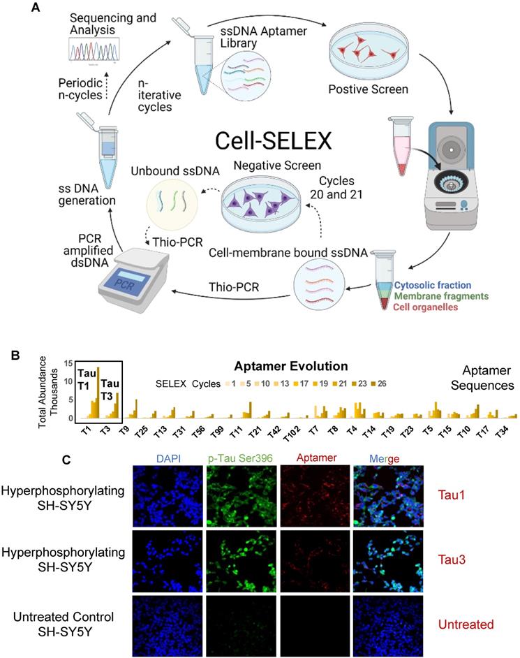 Theranostics Image