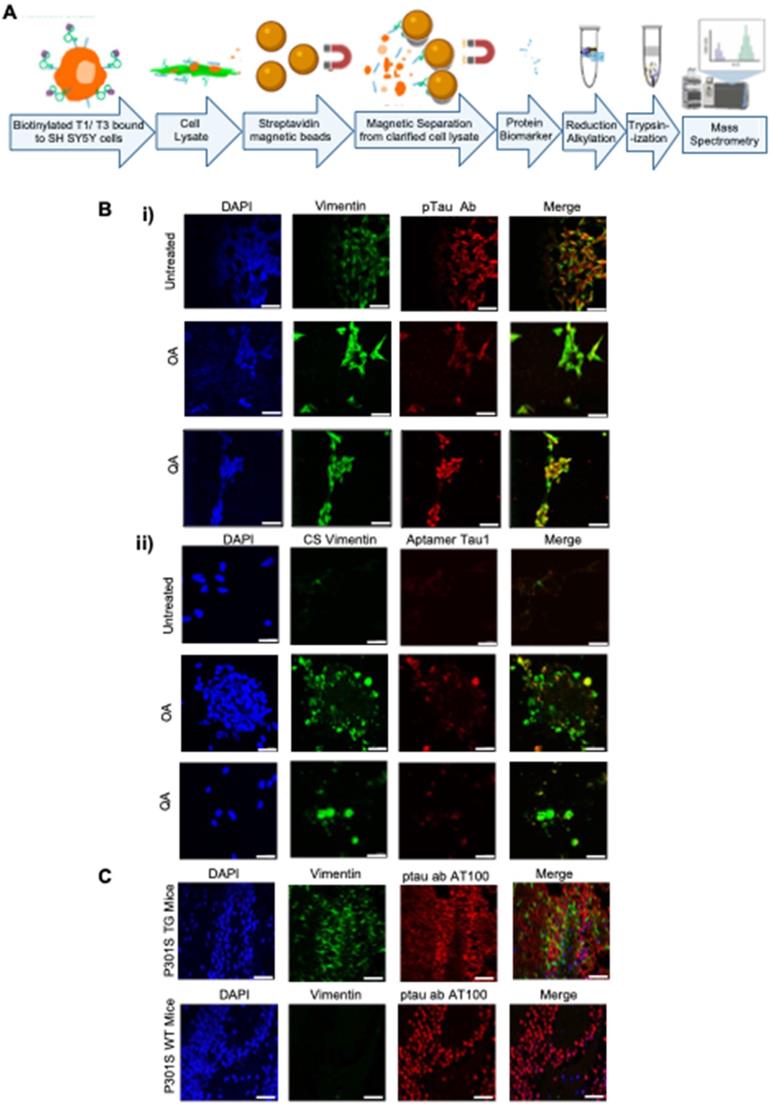 Theranostics Image