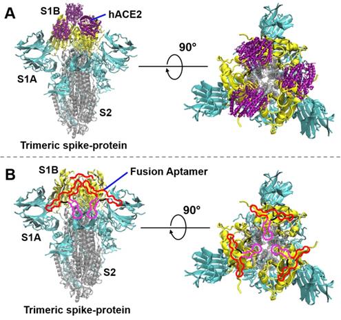 Theranostics Image