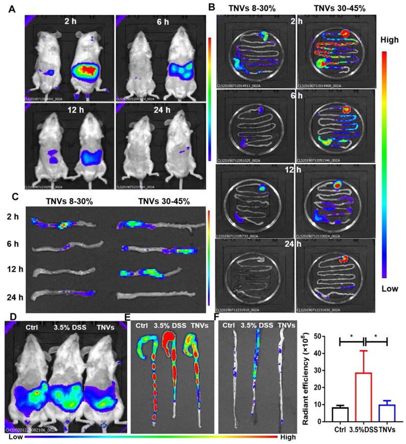 Theranostics Image