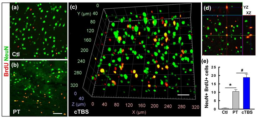 Theranostics Image