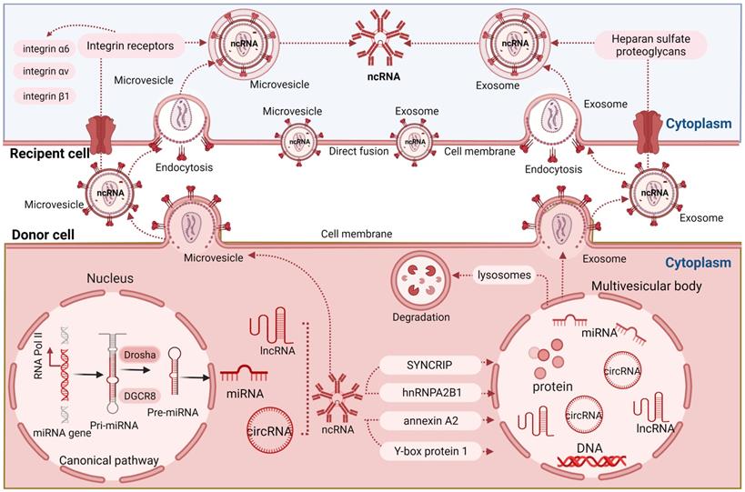 Theranostics Image