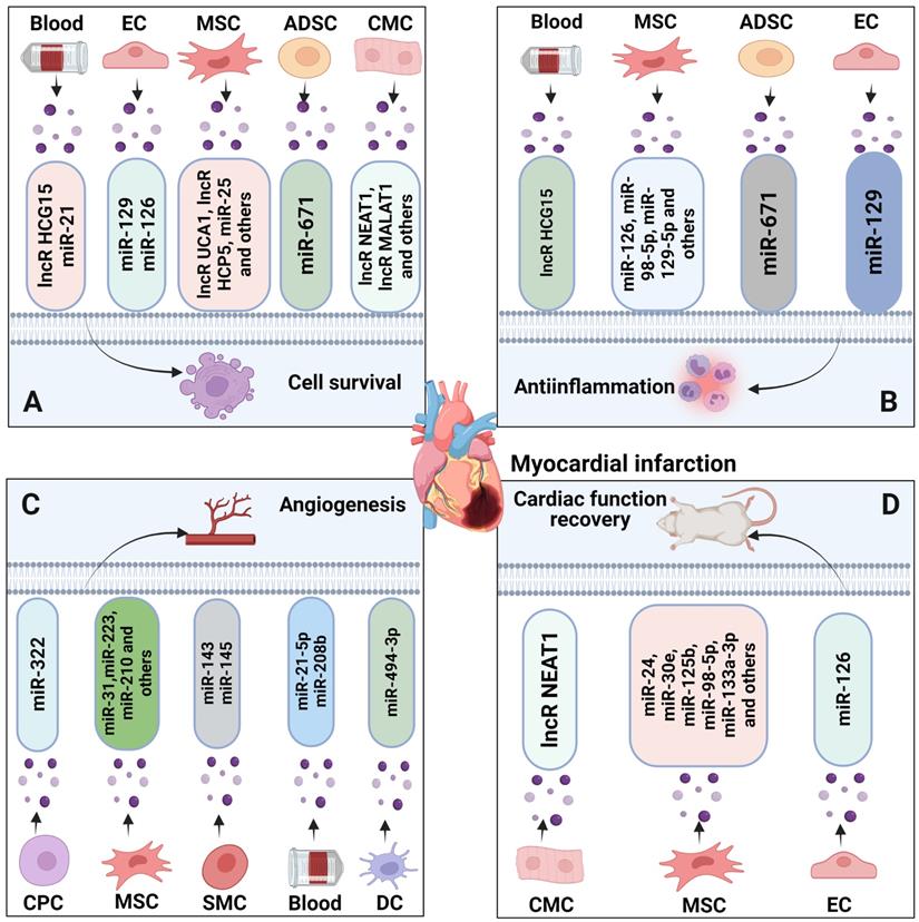 Theranostics Image