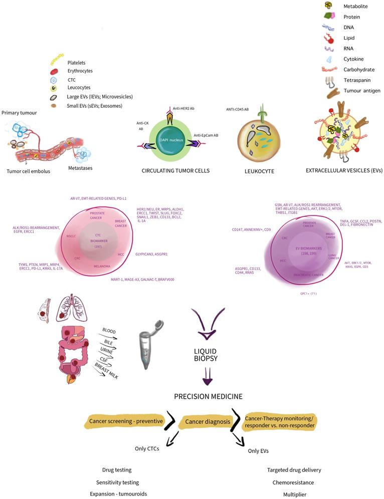 Theranostics Image