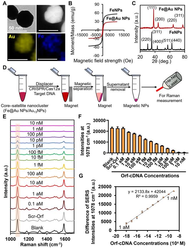 Theranostics Image