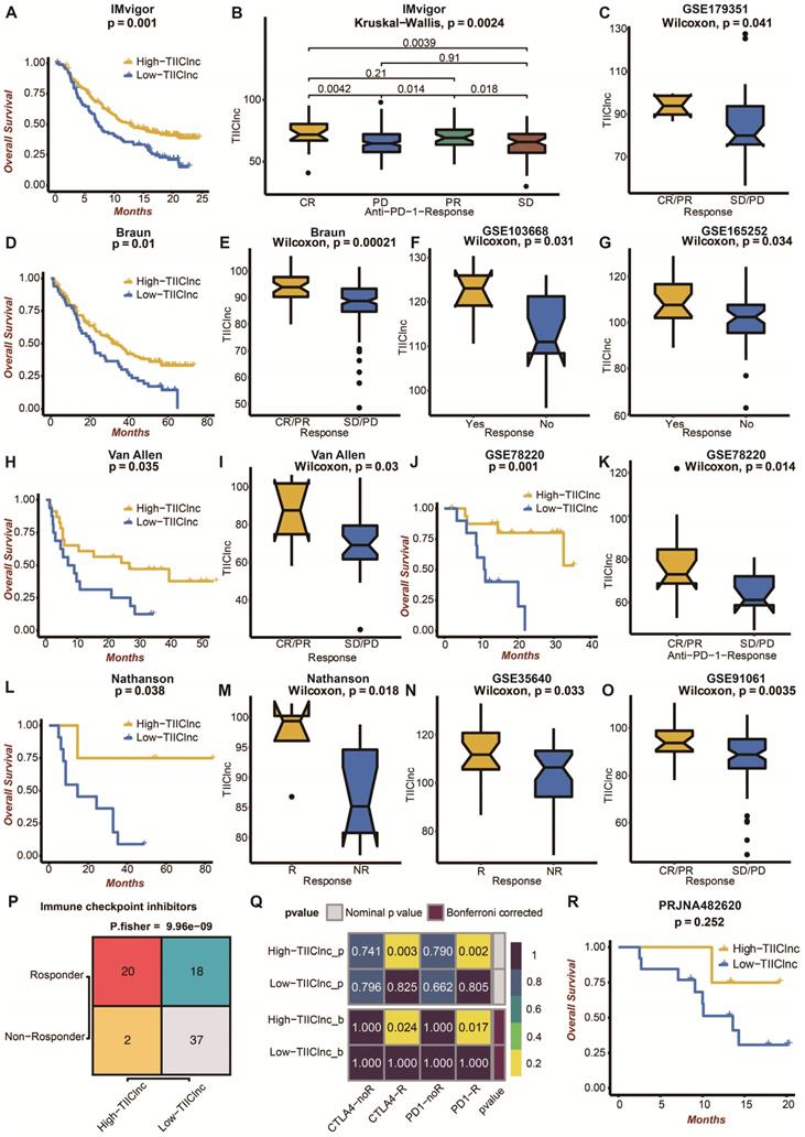 Theranostics Image