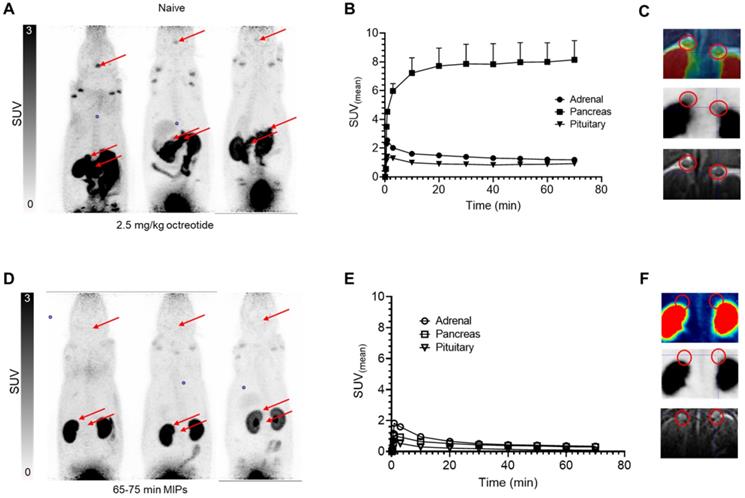 Theranostics Image