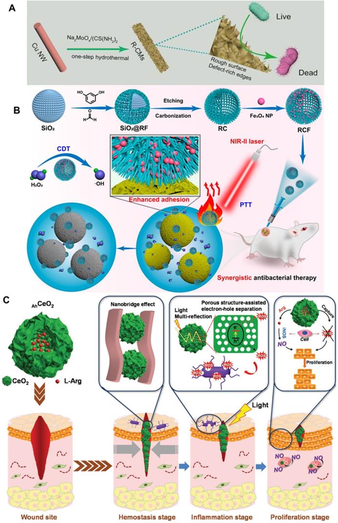 Theranostics Image