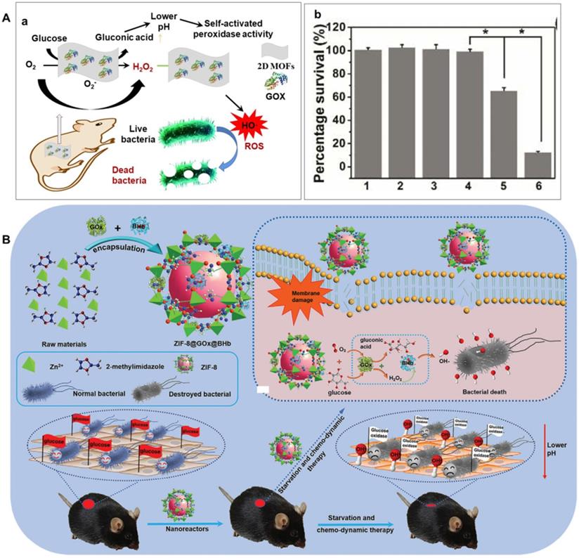 Theranostics Image