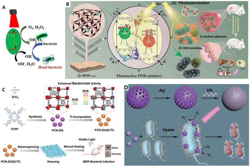 Theranostics Image