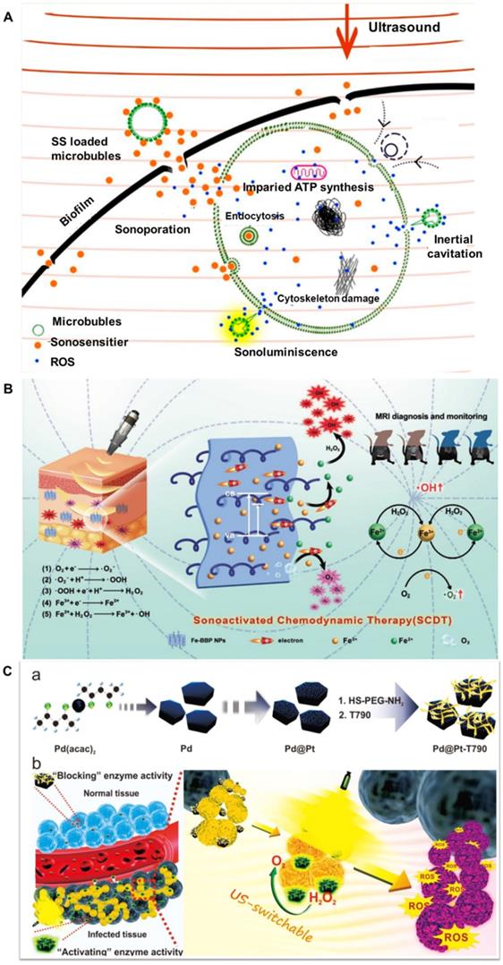 Theranostics Image