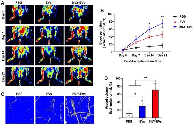 Theranostics Image