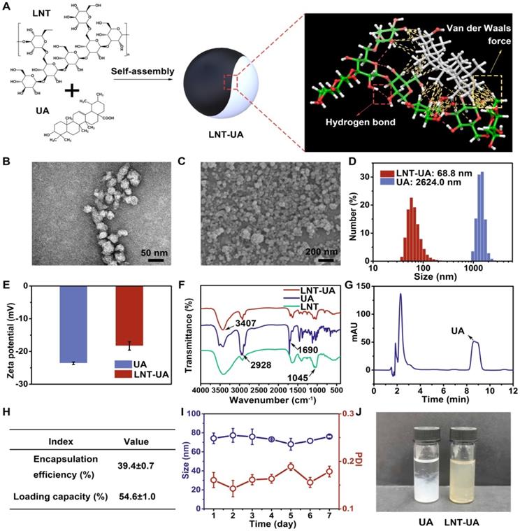 Theranostics Image