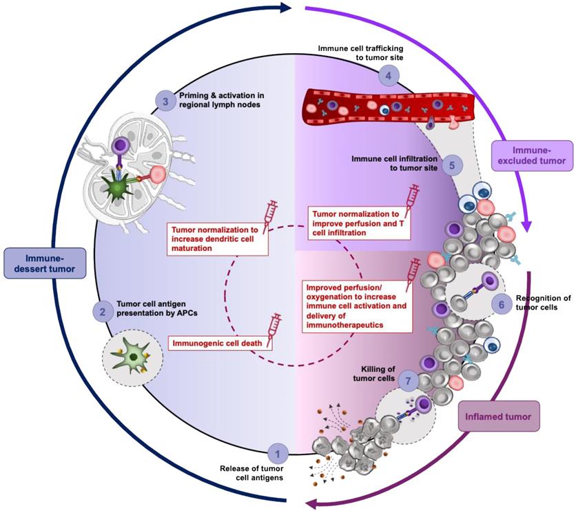 Theranostics Image