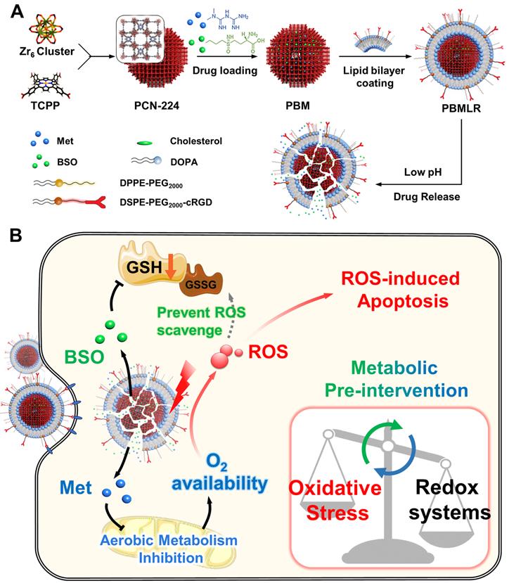 Theranostics Image