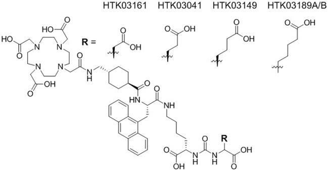 Theranostics Image