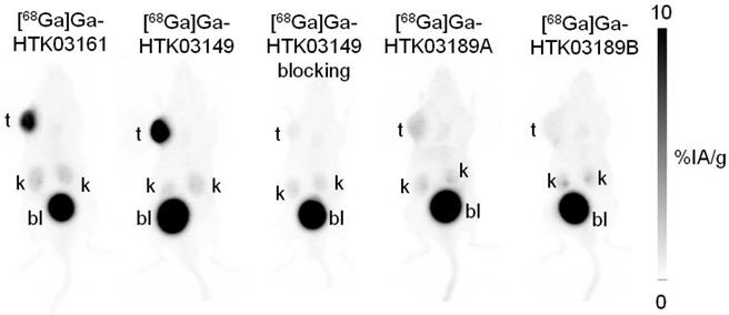 Theranostics Image