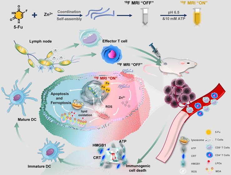 Theranostics Image